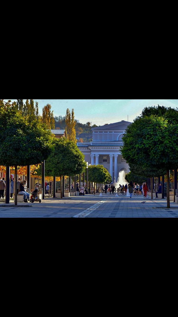 Refugiul Castelului Apartamento Hunedoara Exterior foto